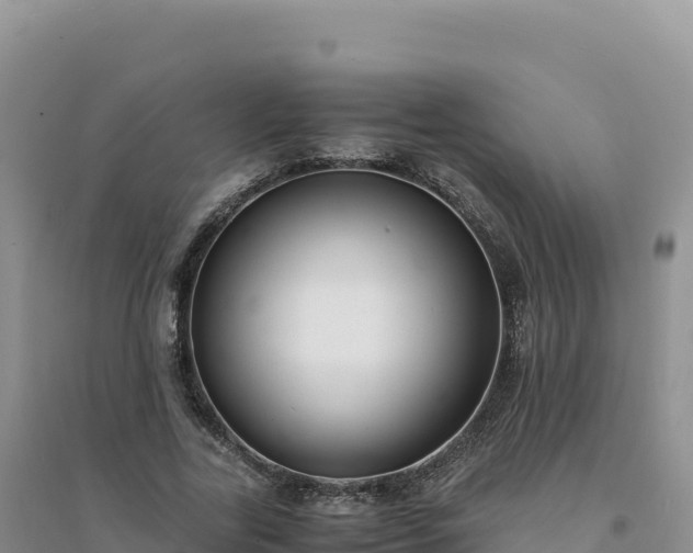 X0000094360731200711091514