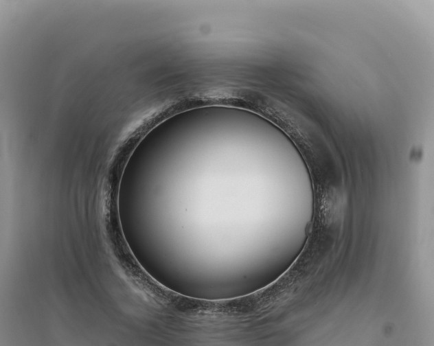 X0000094360732200711091514