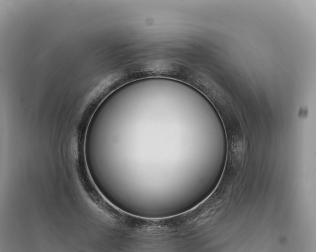 X0000094360734200711091514