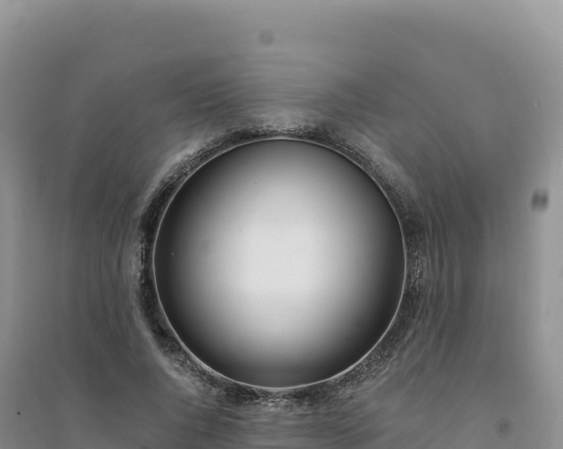 X0000094360736200711091514