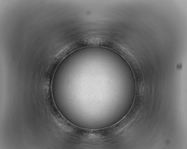 X0000094360737200711091514