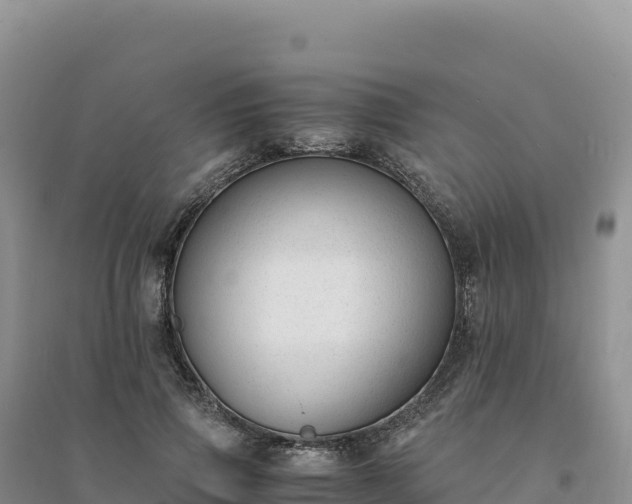 X0000094360741200711091514