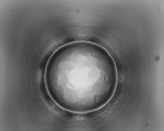 X0000094360742200711091514