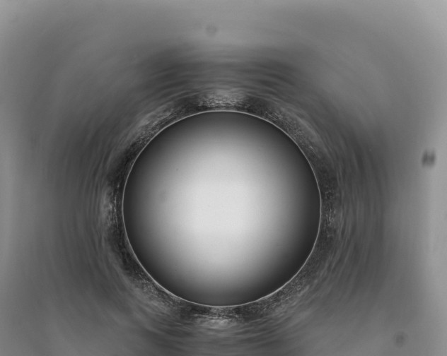 X0000094360743200711091514