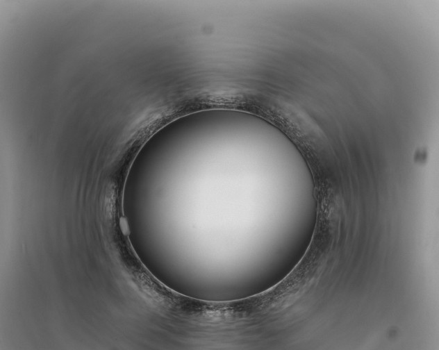 X0000094360744200711091514