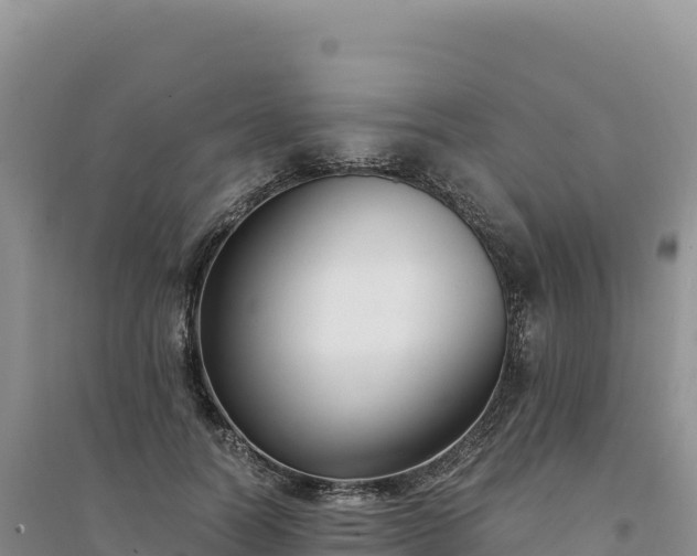 X0000094360746200711091515