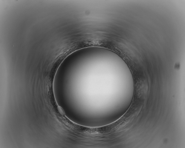 X0000094360747200711091515