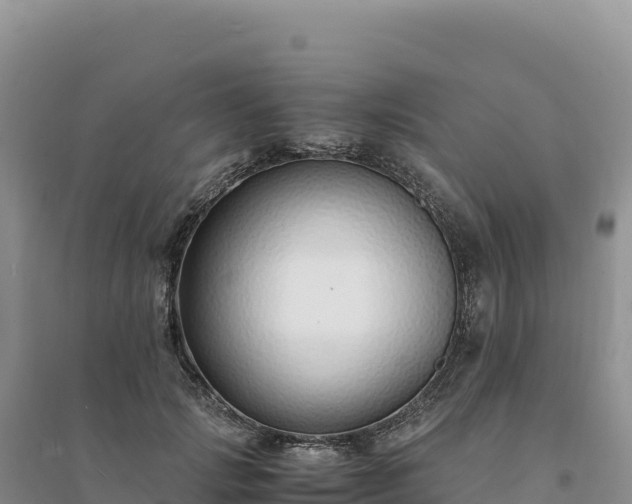 X0000094360749200711091515