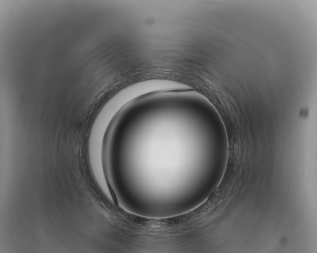 X0000094360750200711091515