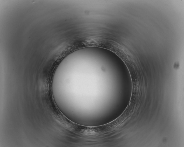 X0000094360751200711091515
