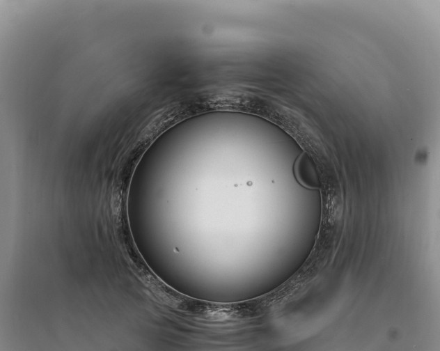 X0000094360753200711091515