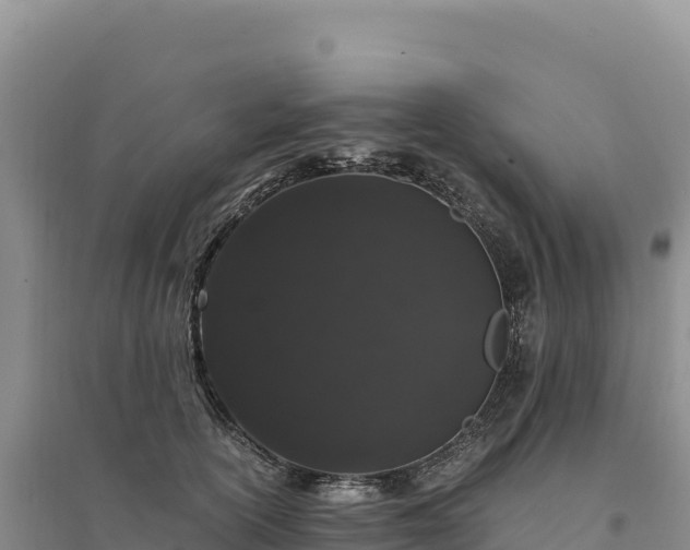 X0000094360754200711091515