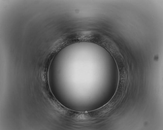 X0000094360755200711091515