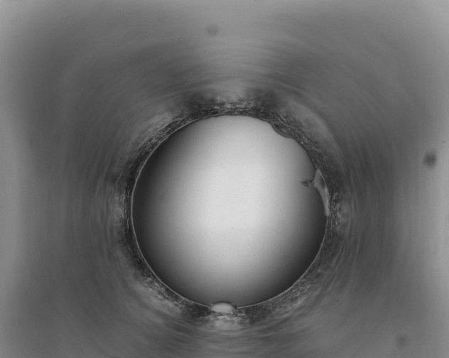 X0000094360756200711091515