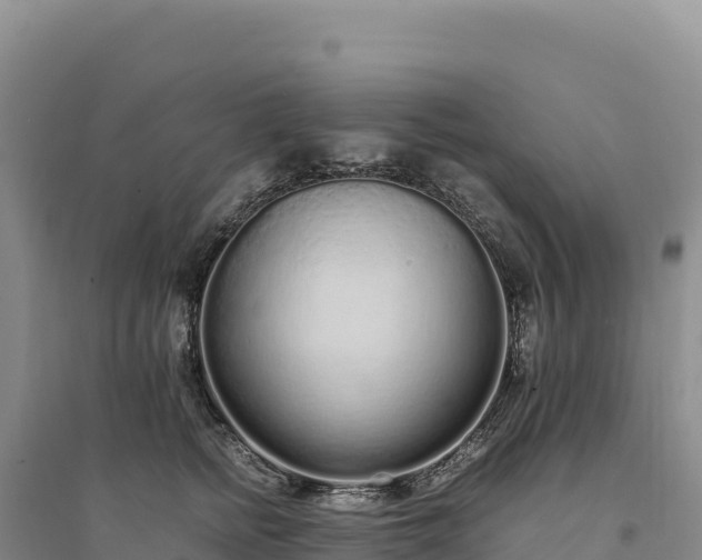 X0000094360758200711091515
