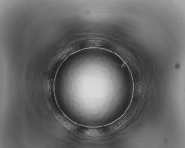 X0000094360759200711091515