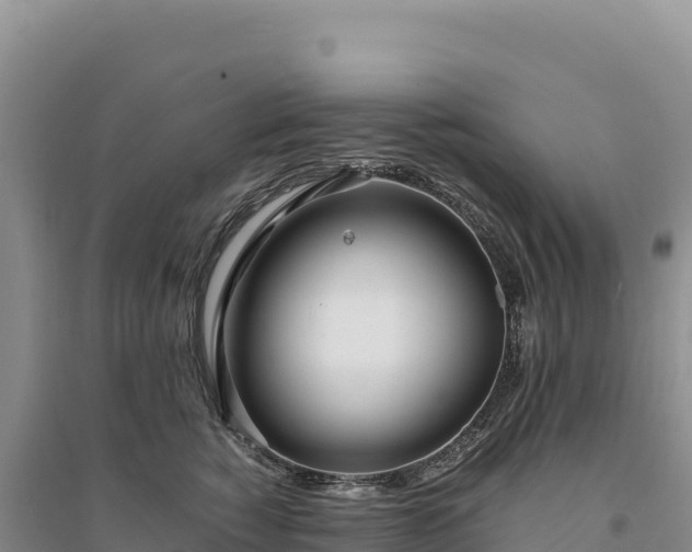 X0000094360760200711091515