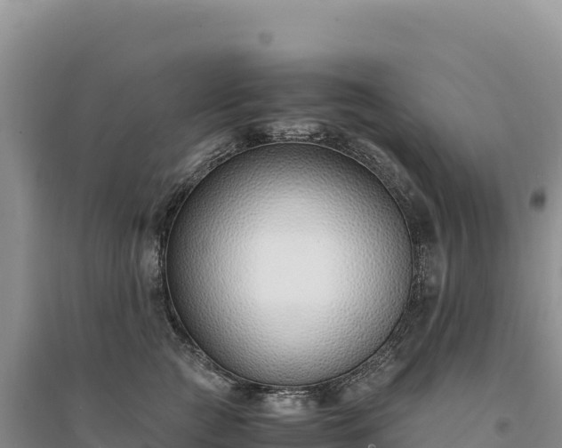 X0000094360761200711091515