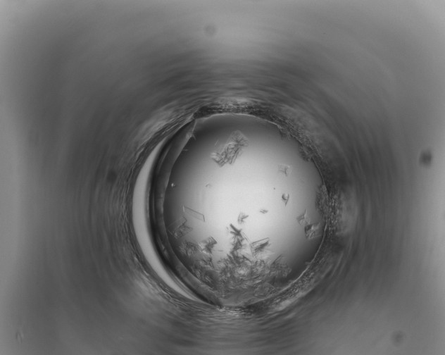 X0000094360762200711091515