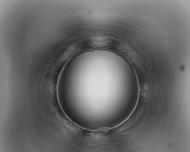 X0000094360763200711091515