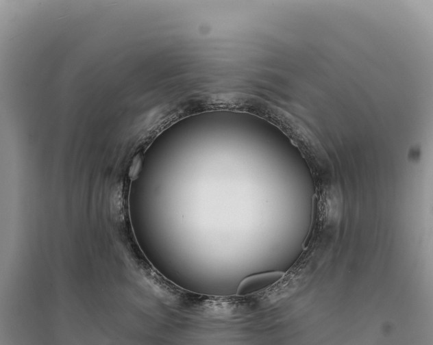 X0000094360764200711091515