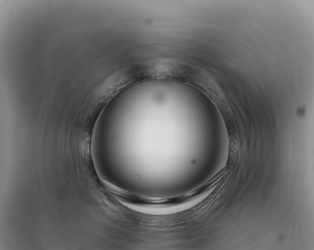 X0000094360766200711091515
