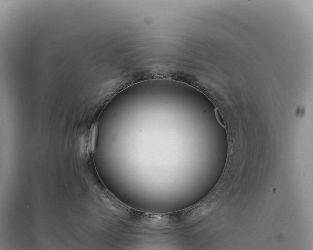 X0000094360768200711091515