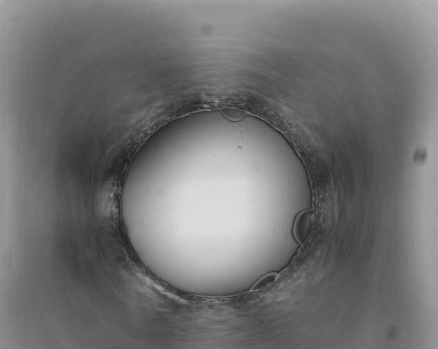 X0000094360770200711091514