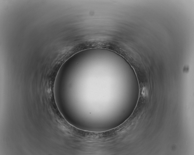 X0000094360771200711091514