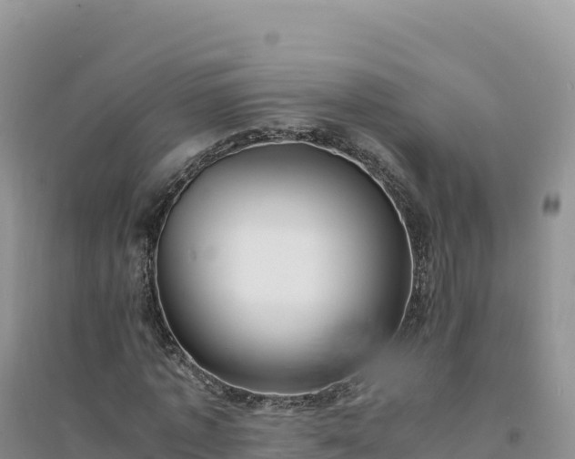 X0000094360773200711091514