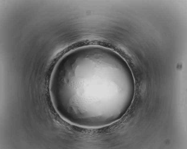 X0000094360775200711091514