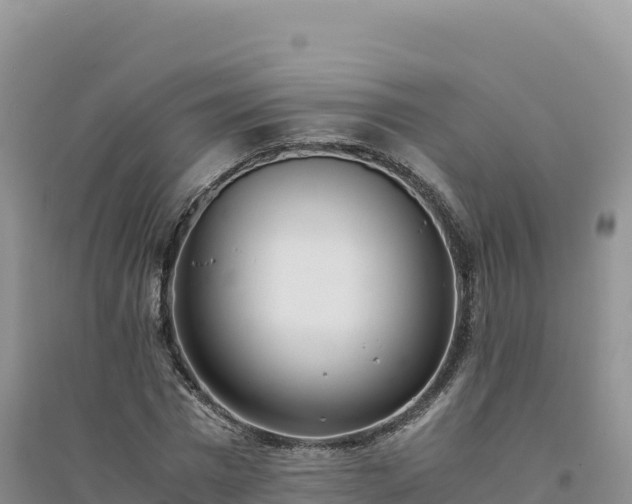 X0000094360777200711091514