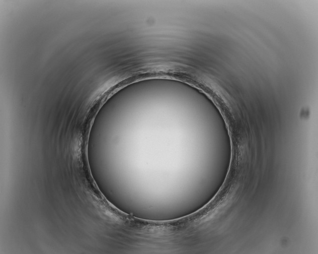 X0000094360778200711091514