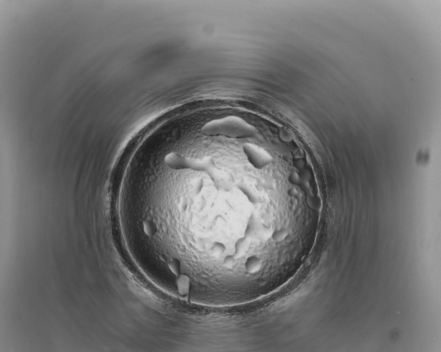 X0000094360779200711091514