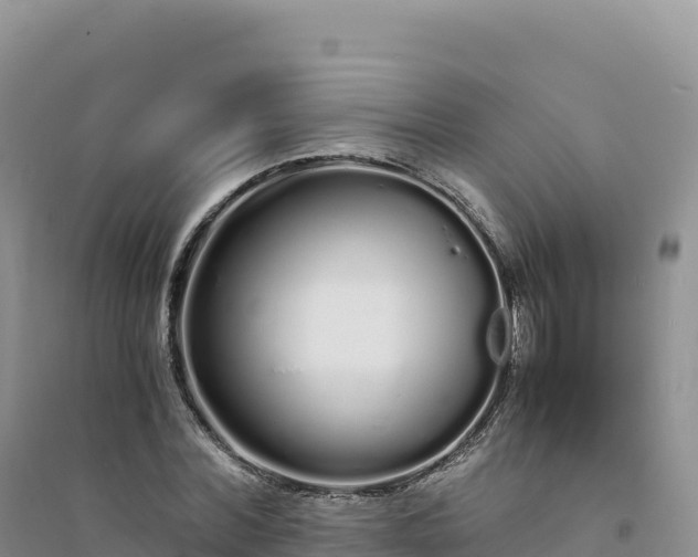 X0000094360780200711091514