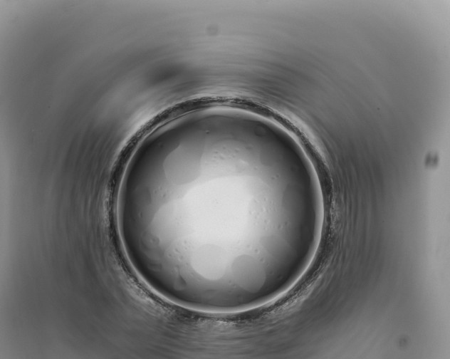 X0000094360783200711091514