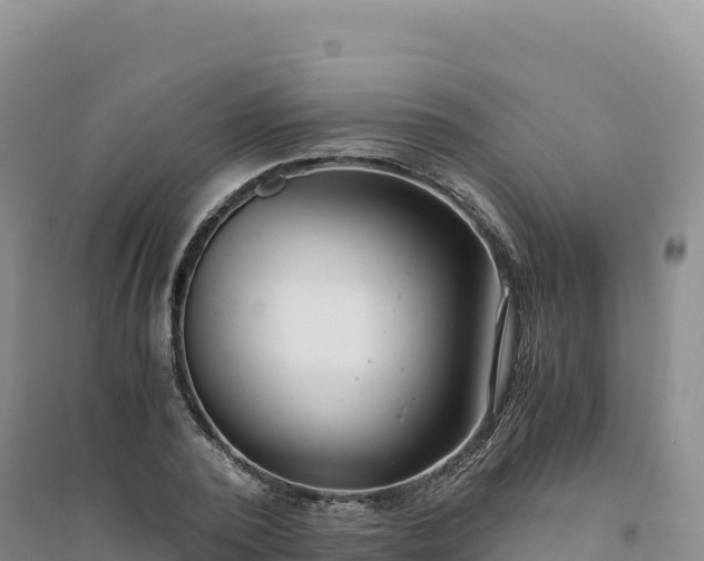 X0000094360784200711091514