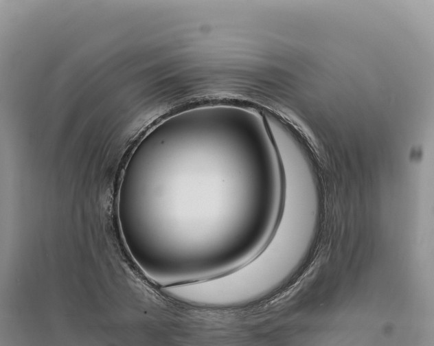 X0000094360785200711091514