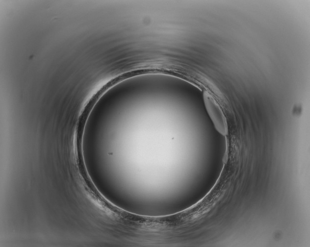 X0000094360788200711091514