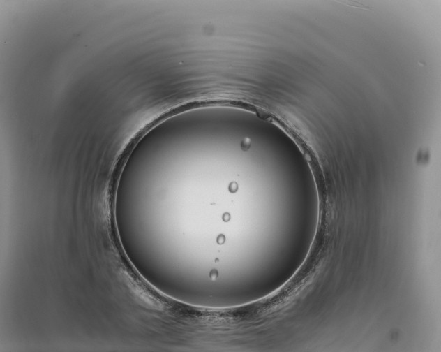 X0000094360789200711091514