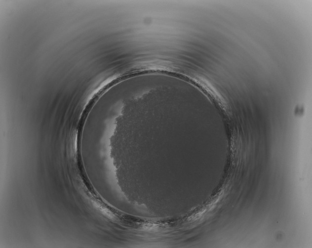 X0000094360790200711091514