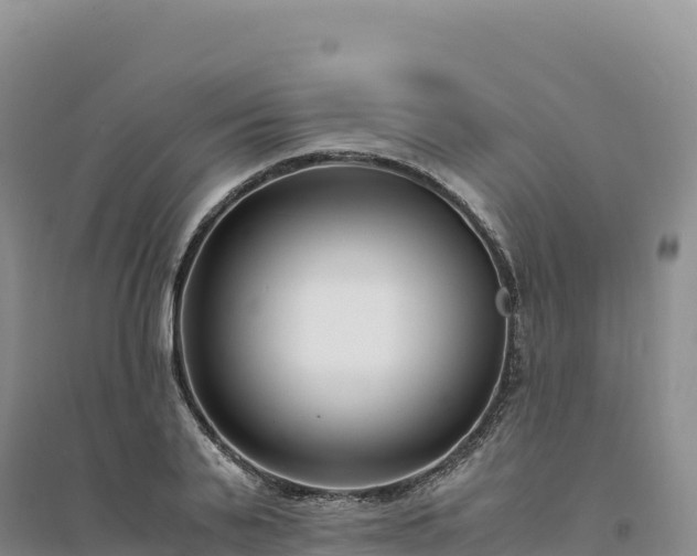 X0000094360791200711091514