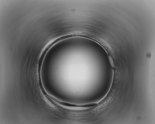 X0000094360792200711091514