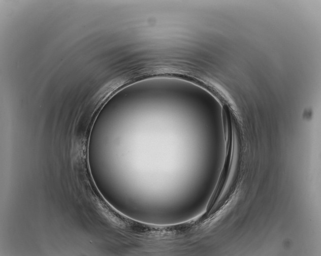 X0000094360793200711091514