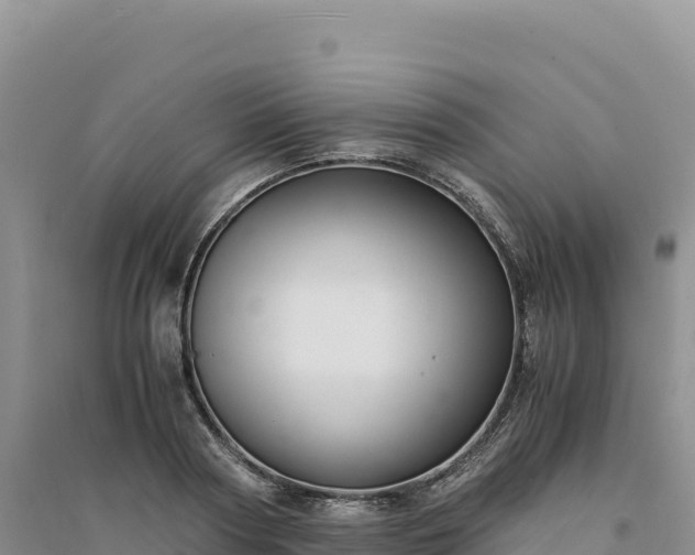 X0000094360794200711091514