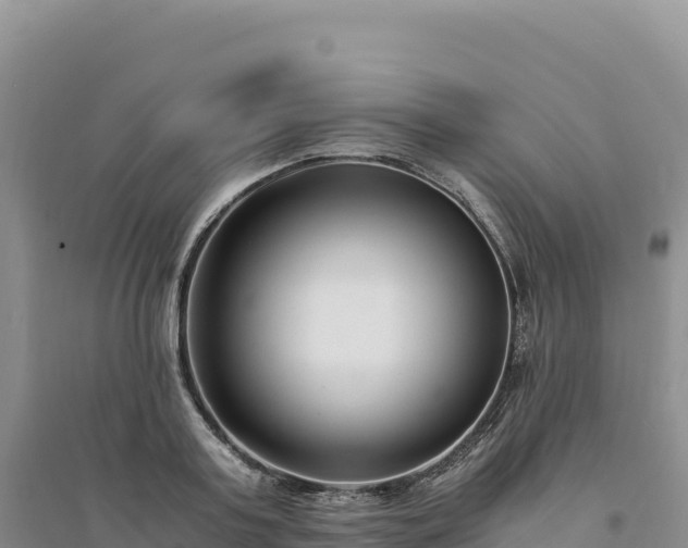 X0000094360795200711091514