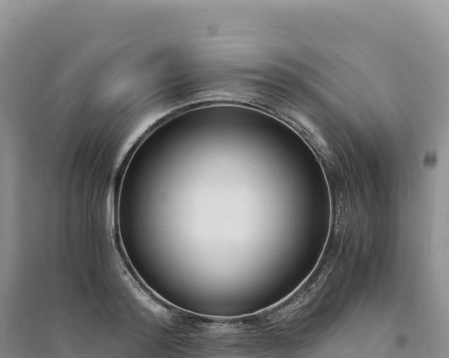 X0000094360796200711091514