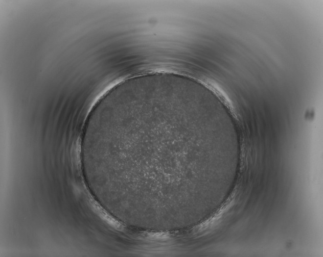 X0000094360798200711091514