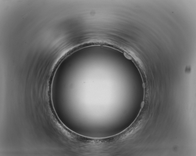 X0000094360799200711091514