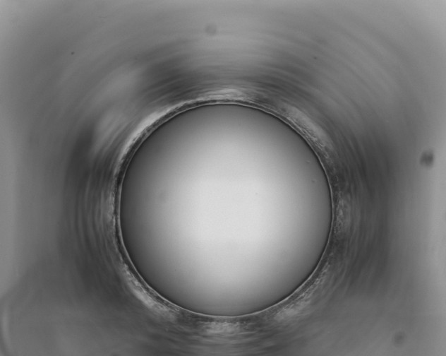 X0000094360800200711091514